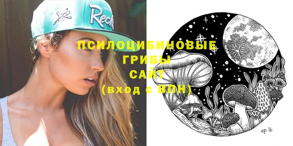 метамфетамин Алексеевка