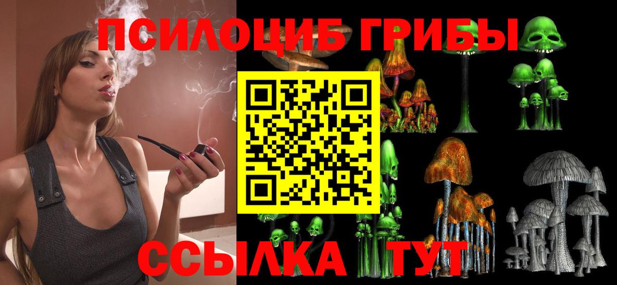 Псилоцибиновые грибы GOLDEN TEACHER  Вход с VPN  закладка  Жуковский 
